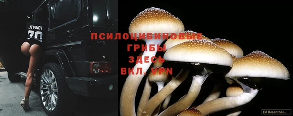 соль ск Балахна