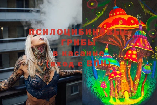 соль ск Балахна