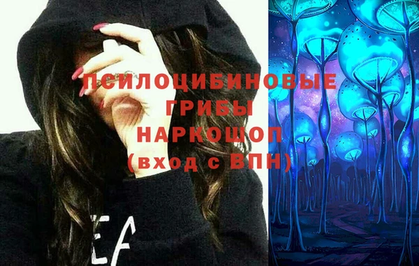 соль ск Балахна