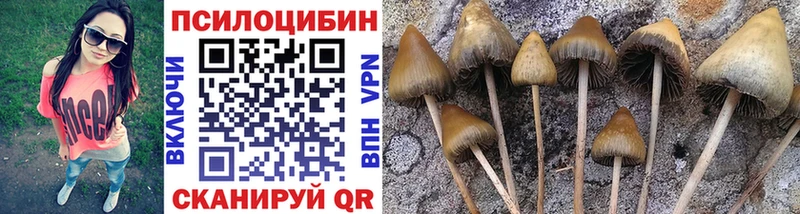 где продают наркотики  Электрогорск  omg ONION  Галлюциногенные грибы Cubensis 